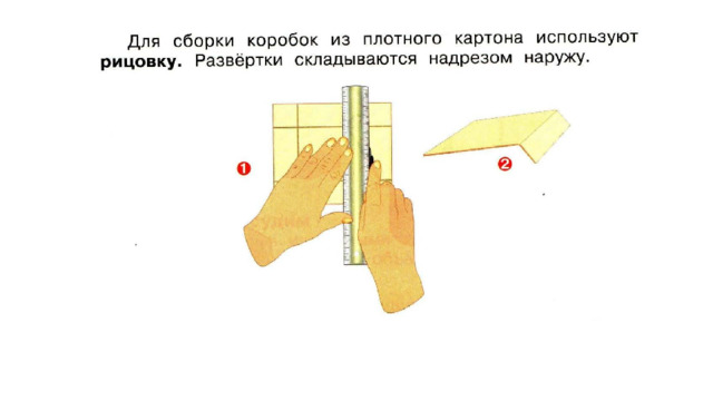 Развертка с размерами