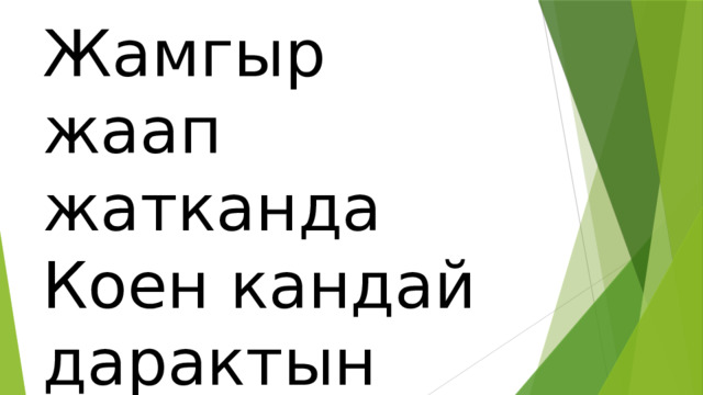 Жамгыр жаап жатканда Коен кандай дарактын тубуно отурат? 