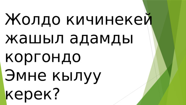Жолдо кичинекей жашыл адамды коргондо Эмне кылуу керек? 