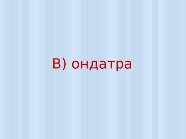 В) ондатра 