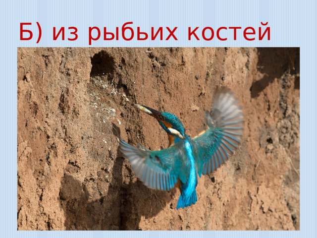 Б) из рыбьих костей 