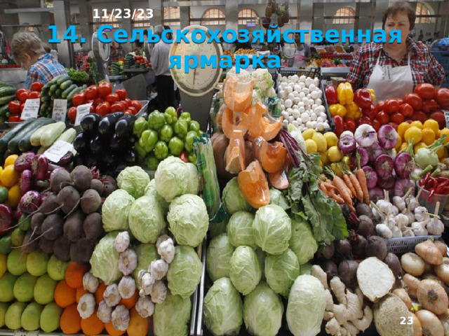 11/23/23 13. Сельское хозяйство Сельское хозяйство – главная отрасль района. Этому способствуют самые благопри­ятные в России агроклиматические ресурсы и значительная доля пахотных земель страны – 8%. Здесь производится ⅛ продукции сельского хозяйства Рос­сии.  