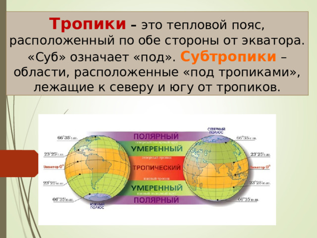 Тропики – это тепловой пояс, расположенный по обе стороны от экватора. «Суб» означает «под». Субтропики  – области, расположенные «под тропиками», лежащие к северу и югу от тропиков. 