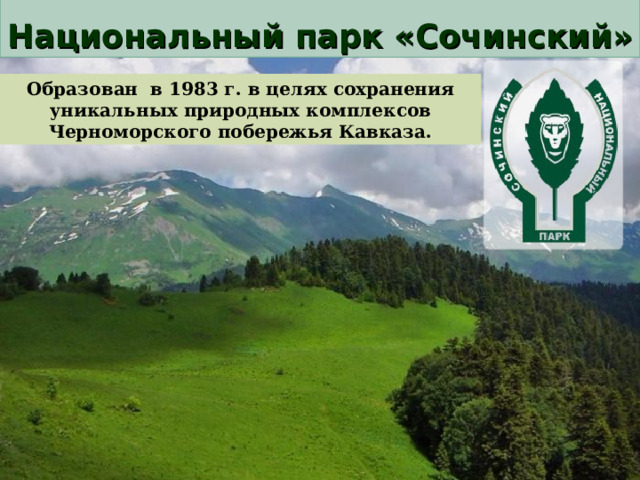  Национальный парк «Сочинский» Образован в 1983 г. в целях сохранения уникальных природных комплексов Черноморского побережья Кавказа. 