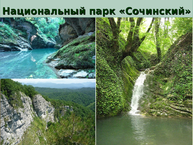  Национальный парк «Сочинский» 
