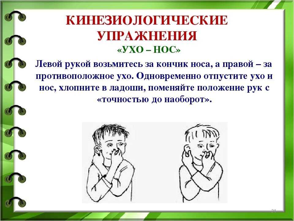 Кинезиологические упражнения картинки