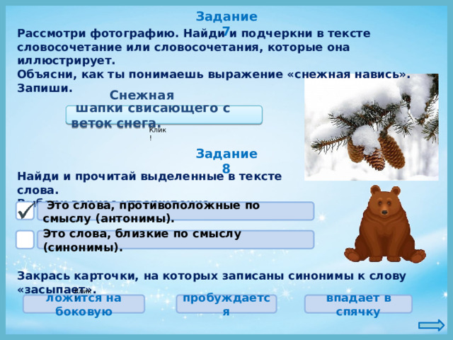 Задание 7 Рассмотри фотографию. Найди и подчеркни в тексте словосочетание или словосочетания, которые она иллюстрирует. Объясни, как ты понимаешь выражение «снежная навись». Запиши. Снежная навись —  шапки свисающего с веток снега. Клик! Задание 8 Найди и прочитай выделенные в тексте слова. Выбери верное утверждение.  Это слова, противоположные по смыслу (антонимы). Это слова, близкие по смыслу (синонимы). Закрась карточки, на которых записаны синонимы к слову «засыпает». Клик! ложится на боковую пробуждается впадает в спячку 