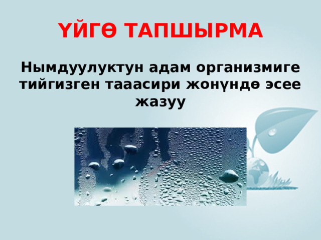 ҮЙГӨ ТАПШЫРМА Нымдуулуктун адам организмиге тийгизген тааасири жонүндө эсее жазуу 