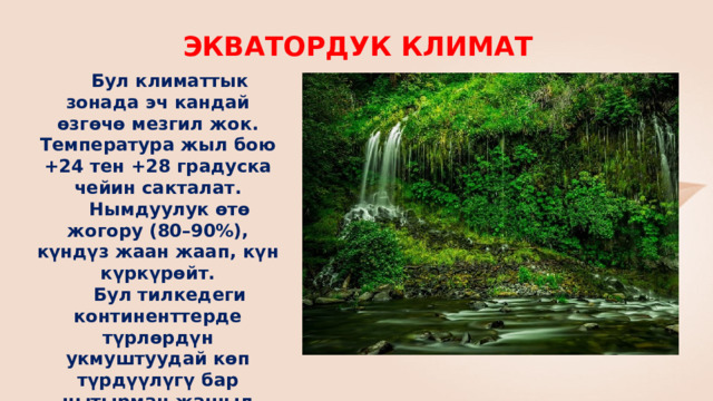 ЭКВАТОРДУК КЛИМАТ  Бул климаттык зонада эч кандай өзгөчө мезгил жок. Температура жыл бою +24 тен +28 градуска чейин сакталат.  Нымдуулук өтө жогору (80–90%), күндүз жаан жаап, күн күркүрөйт.  Бул тилкедеги континенттерде түрлөрдүн укмуштуудай көп түрдүүлүгү бар чытырман жашыл токойлор - 3000ден ашык ар кандай өсүмдүктөр бар.  