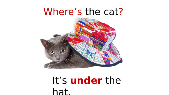 Where’s the cat ? It’s under the hat. 