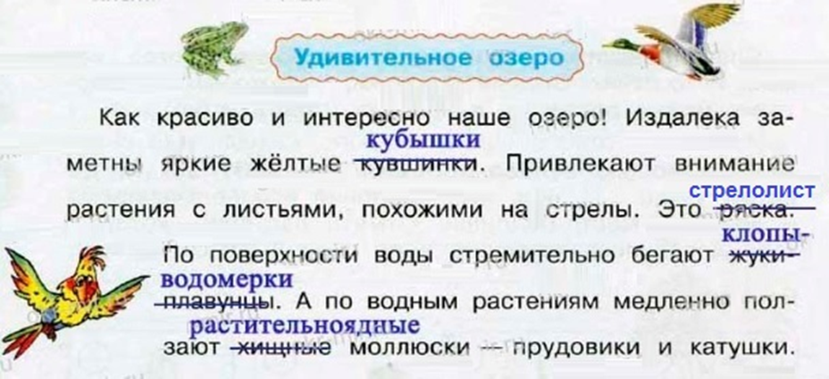 Текст удивительное озеро