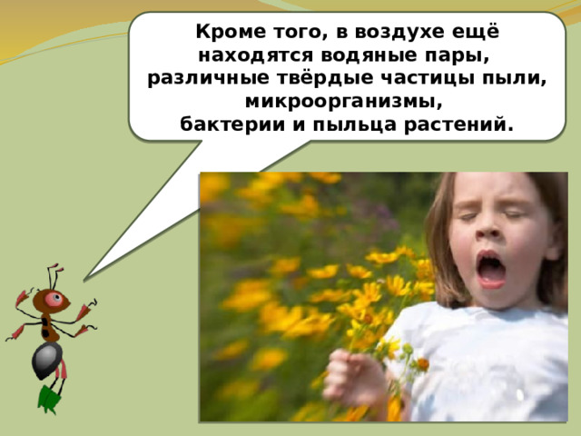 Кроме того, в воздухе ещё находятся водяные пары, различные твёрдые частицы пыли, микроорганизмы, бактерии и пыльца растений. 