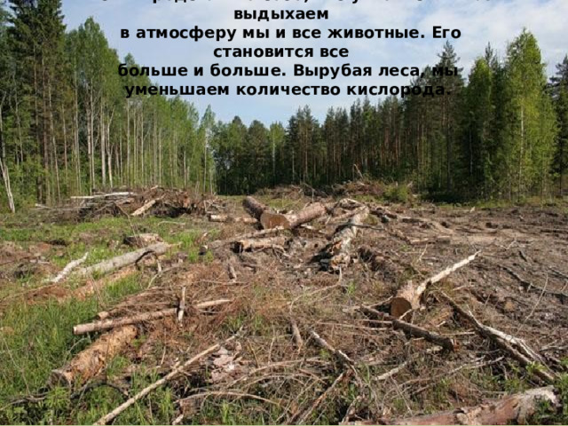 Вот и представьте себе, что углекислый газ выдыхаем в атмосферу мы и все животные. Его становится все больше и больше. Вырубая леса, мы уменьшаем количество кислорода. 