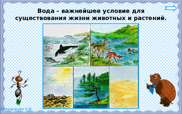 Вода – важнейшее условие для существования жизни животных и растений. 