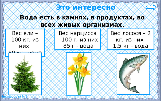 Это интересно  Вода есть в камнях, в продуктах, во всех живых организмах. Вес нарцисса – 100 г, из них Вес лосося – 2 кг, из них  85 г - вода 1,5 кг - вода Вес ели – 100 кг, из них 80 кг - вода 