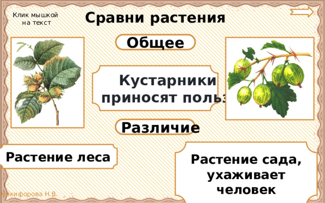 Тест 2 класс дикорастущие и культурные растения