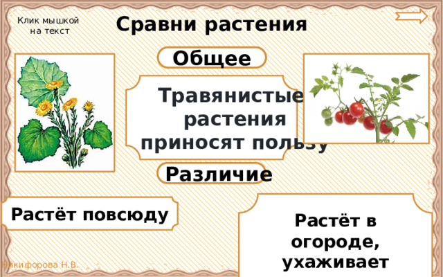 Дикорастущие и культурные растения 2 класс презентация