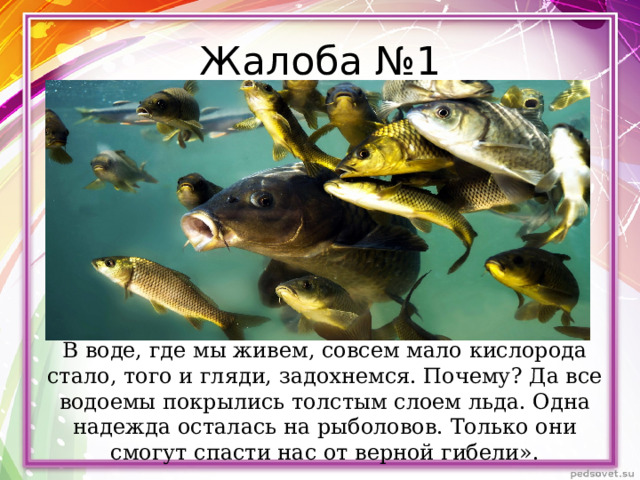 Жалоба №1 В воде, где мы живем, совсем мало кислорода стало, того и гляди, задохнемся. Почему? Да все водоемы покрылись толстым слоем льда. Одна надежда осталась на рыболовов. Только они смогут спасти нас от верной гибели». 