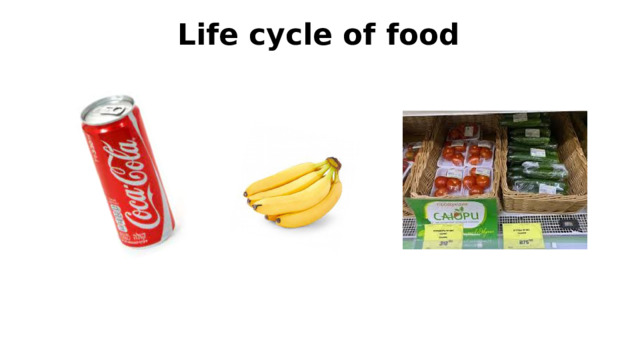 Life cycle of food 