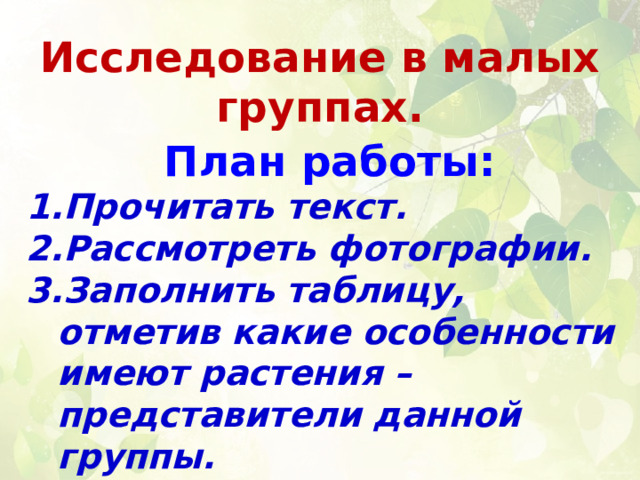 Исследование в малых группах. План работы: Прочитать текст. Рассмотреть фотографии. Заполнить таблицу, отметив какие особенности имеют растения – представители данной группы. 