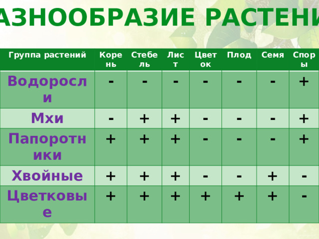 РАЗНООБРАЗИЕ РАСТЕНИЙ Группа растений Водоросли Корень - Стебель Мхи Лист - Папоротники - Цветок - Хвойные + + Плод - + + + Цветковые - Семя - + + + - Споры - - + + + + - - - + + - - + + + - + - 
