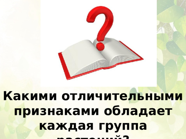 Какими отличительными признаками обладает каждая группа растений? 