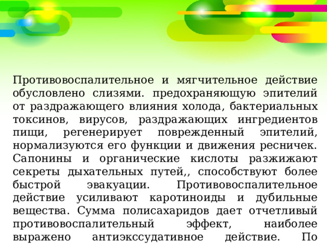 Противовоспалительное и мягчительное действие обусловлено слизями. предохраняющую эпителий от раздражающего влияния холода, бактериальных токсинов, вирусов, раздражающих ингредиентов пищи, регенерирует поврежденный эпителий, нормализуются его функции и движения ресничек. Сапонины и органические кислоты разжижают секреты дыхательных путей,, способствуют более быстрой эвакуации. Противовоспалительное действие усиливают каротиноиды и дубильные вещества. Сумма полисахаридов дает отчетливый противовоспалительный эффект, наиболее выражено антиэкссудативное действие. По противовоспалительной активности полисахариды не уступают индометацину, хотя фармакодинамика их различна. 