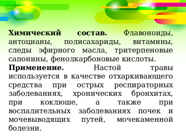 Химический состав. Флавоноиды, антоцианы, полисахариды, витамины, следы эфирного масла, тритерпеновые сапонины, фенолкарбоновые кислоты. Применение. Настой травы используется в качестве отхаркивающего средства при острых респираторных заболеваниях, хронических бронхитах, при коклюше, а также при воспалительных заболеваниях почек и мочевыводящих путей, мочекаменной болезни. 