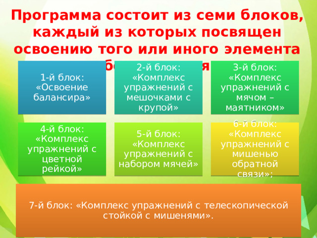 Программа состоит из семи блоков, каждый из которых посвящен освоению того или иного элемента оборудования: 1-й блок: «Освоение балансира» 2-й блок: «Комплекс упражнений с мешочками с крупой» 3-й блок: «Комплекс упражнений с мячом – маятником» 4-й блок: «Комплекс упражнений с цветной рейкой» 5-й блок: «Комплекс упражнений с набором мячей» 6-й блок: «Комплекс упражнений с мишенью обратной связи»; 7-й блок: «Комплекс упражнений с телескопической стойкой с мишенями». 