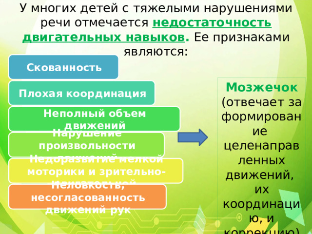 У многих детей с тяжелыми нарушениями речи отмечается недостаточность двигательных навыков . Ее признаками являются: Скованность Мозжечок (отвечает за формирование целенаправленных движений, их координацию, и коррекцию) Плохая координация Неполный объем движений Нарушение произвольности движений  Недоразвитие мелкой моторики и зрительно-двигательной координации Неловкость, несогласованность движений рук 