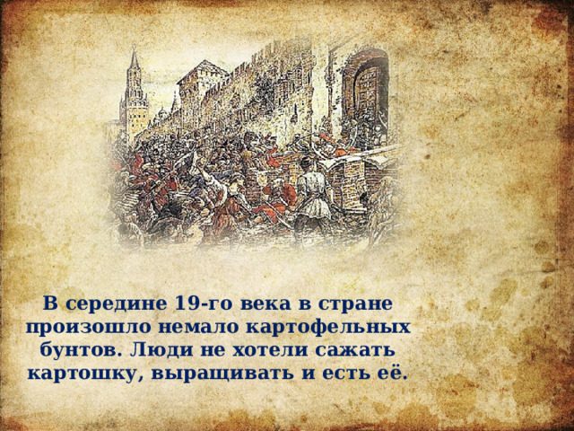 В середине 19-го века в стране произошло немало картофельных бунтов. Люди не хотели сажать картошку, выращивать и есть её. 