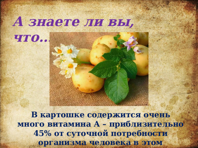 А знаете ли вы, что…. В картошке содержится очень много витамина А – приблизительно 45% от суточной потребности организма человека в этом витамине. 