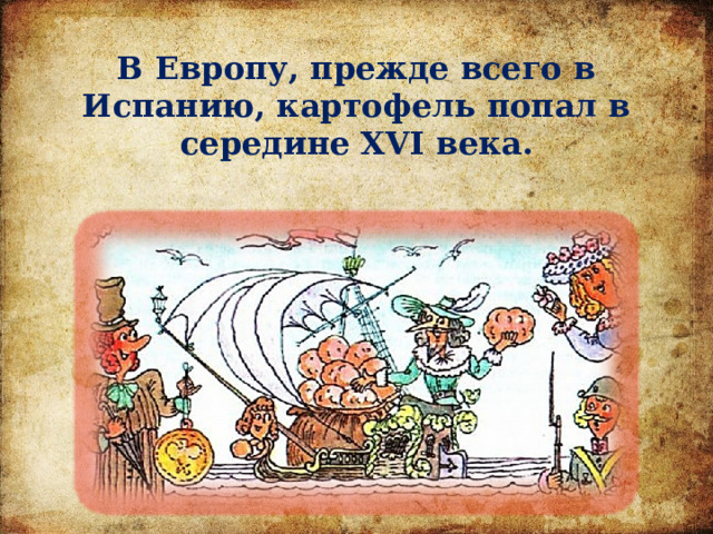 В Европу, прежде всего в Испанию, картофель попал в середине XVI века. 