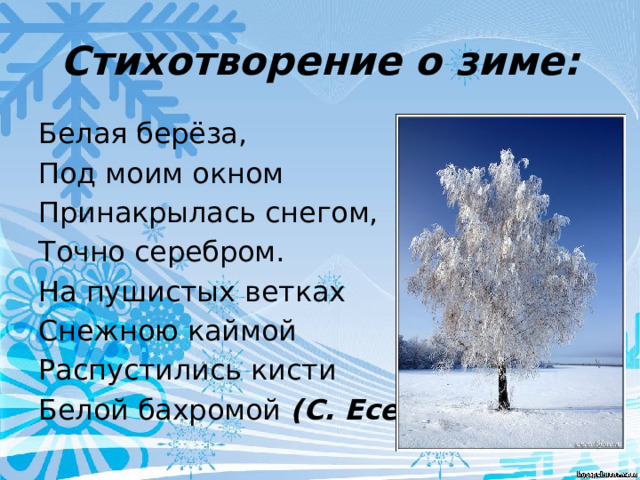 Стихотворение о зиме: Белая берёза, Под моим окном Принакрылась снегом, Точно серебром. На пушистых ветках Снежною каймой Распустились кисти Белой бахромой  (С. Есенин) 