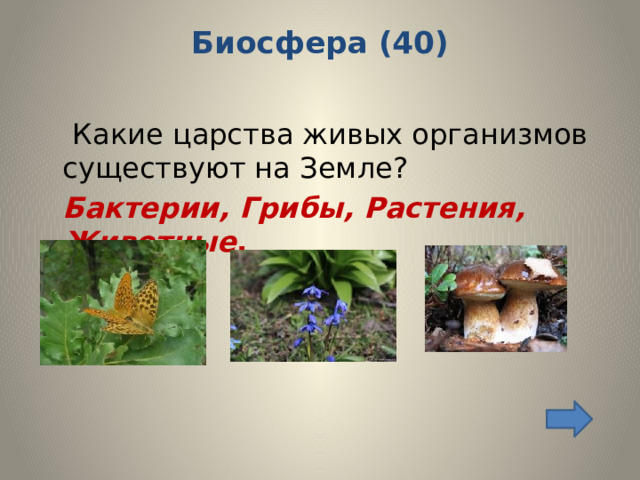 Биосфера (40)     Какие царства живых организмов существуют на Земле?  Бактерии, Грибы, Растения, Животные . 