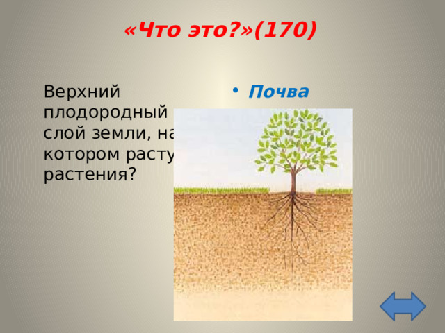 «Что это?»(170)    Верхний плодородный слой земли, на котором растут растения? Почва 