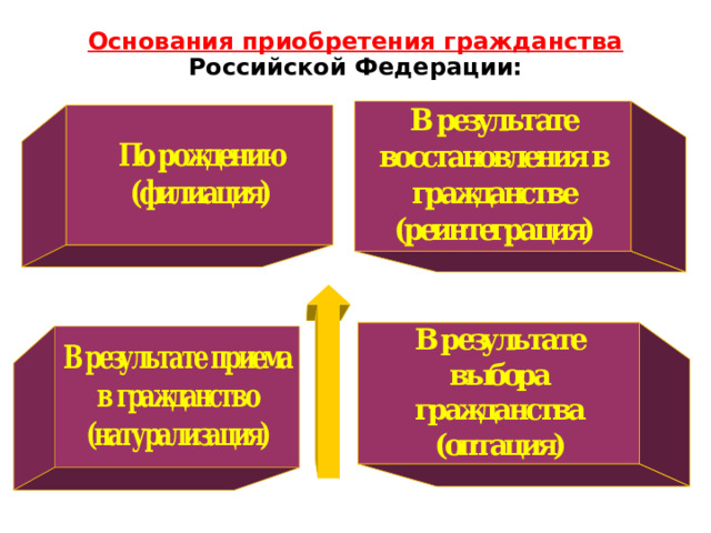 Основания приобретения гражданства Российской Федерации: 