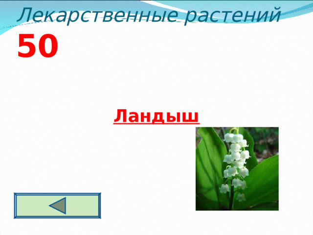 Лекарственные растений 5 0   Ландыш  