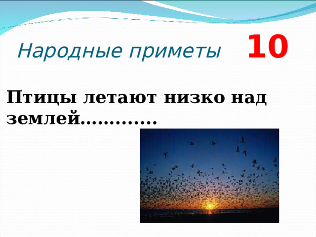 Народные приметы 10 Птицы летают низко над землей…….......  