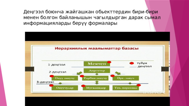Деңгээл боюнча жайгашкан обьекттердин бири-бири менен болгон байланышын чагылдырган дарак сымал информацияларды берүү формалары 