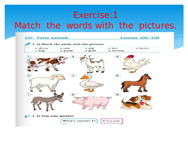 Exercise:1  Match the words with the pictures. 