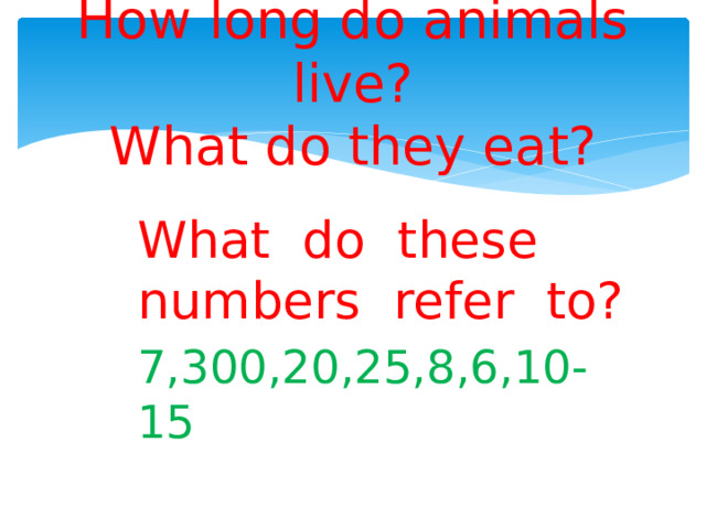 How long do animals live?  What do they eat?   What do these numbers refer to? 7,300,20,25,8,6,10-15 