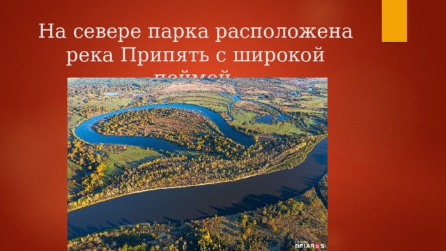 На севере парка расположена река Припять с широкой поймой. 