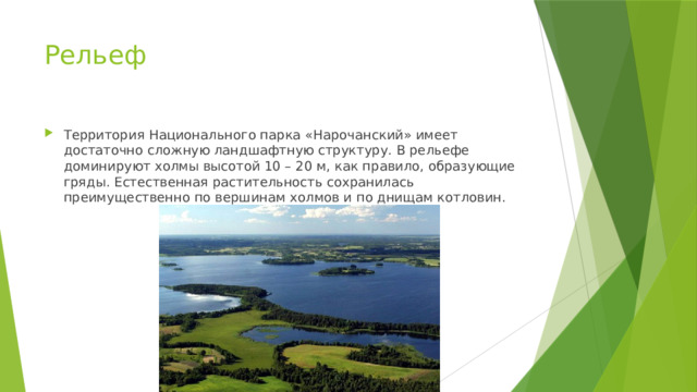 Рельеф Территория Национального парка «Нарочанский» имеет достаточно сложную ландшафтную структуру. В рельефе доминируют холмы высотой 10 – 20 м, как правило, образующие гряды. Естественная растительность сохранилась преимущественно по вершинам холмов и по днищам котловин.  