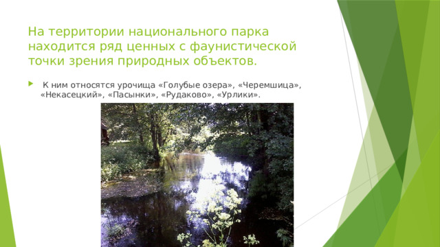 На территории национального парка находится ряд ценных с фаунистической точки зрения природных объектов.   К ним относятся урочища «Голубые озера», «Черемшица», «Некасецкий», «Пасынки», «Рудаково», «Урлики». 