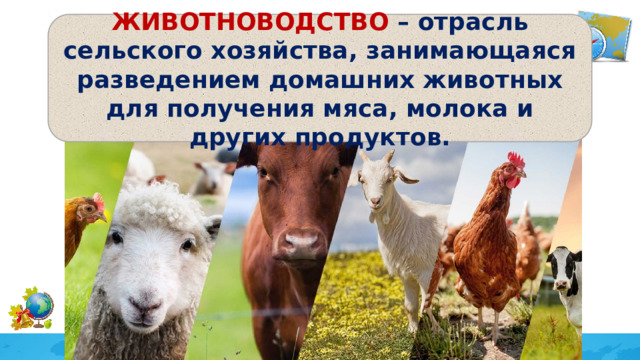 ЖИВОТНОВОДСТВО – отрасль сельского хозяйства, занимающаяся разведением домашних животных для получения мяса, молока и других продуктов. 