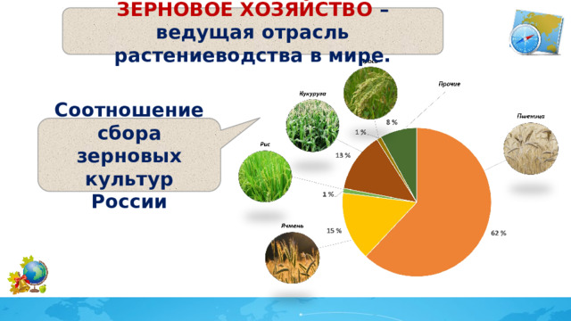 ЗЕРНОВОЕ ХОЗЯЙСТВО – ведущая отрасль растениеводства в мире. Соотношение сбора зерновых культур России 