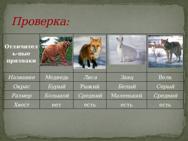 Проверка: Отличитель-ные признаки Название Медведь Окрас Бурый Размер Лиса Хвост Большой Рыжий Заяц Белый нет Волк Средний Серый Маленький есть есть Средний есть 
