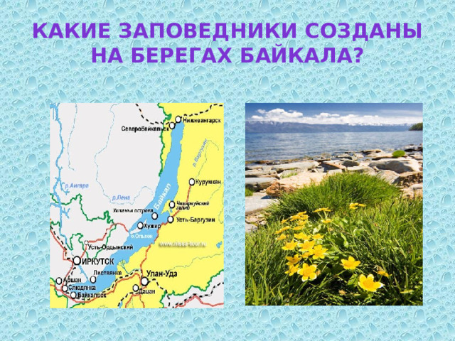 Какие заповедники созданы на берегах Байкала? 