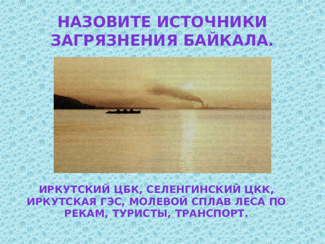 Назовите источники загрязнения Байкала. Иркутский ЦБК, Селенгинский ЦКК, Иркутская ГЭС, молевой сплав леса по рекам, туристы, транспорт. 